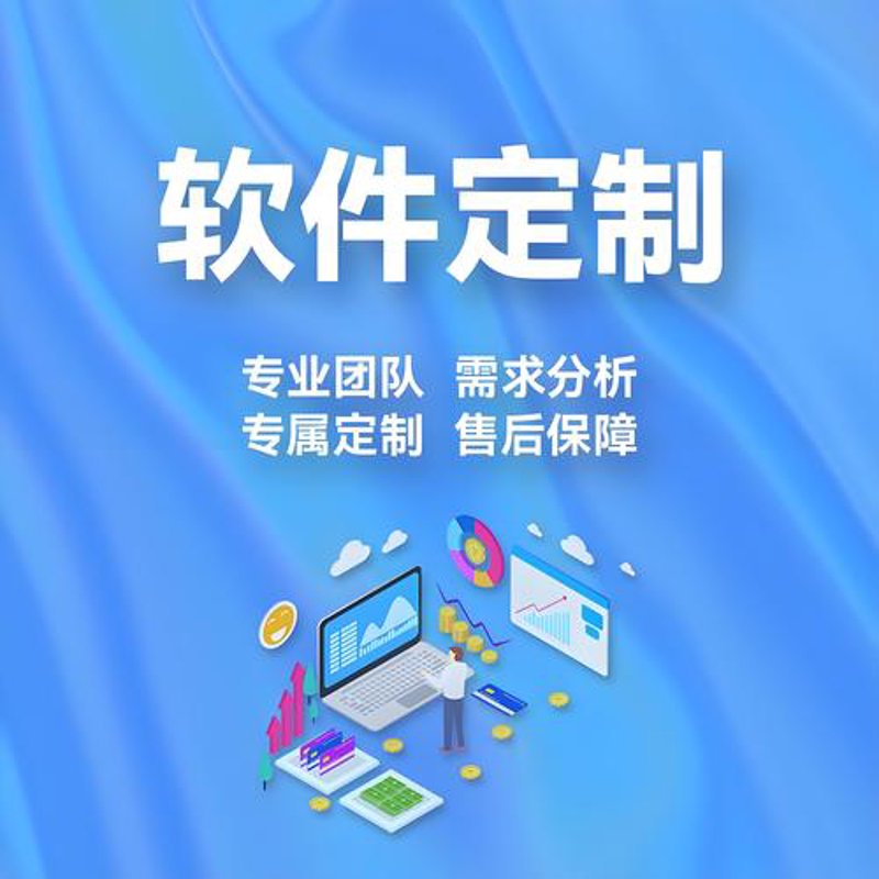 软件定制开发引领信息化革新